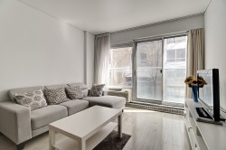 208-1248 Av. de l'Hôtel-de-Ville Montréal (Ville-Marie), QC H2X 0B2