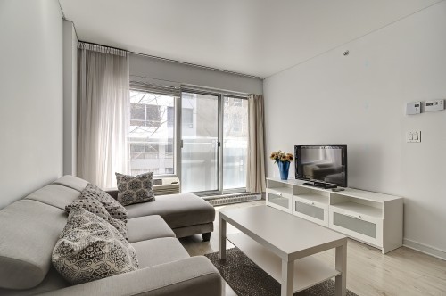 Salon - 208-1248 Av. De L'Hôtel-De-Ville, Montréal (Ville-Marie), QC - Indoor Photo Showing Living Room
