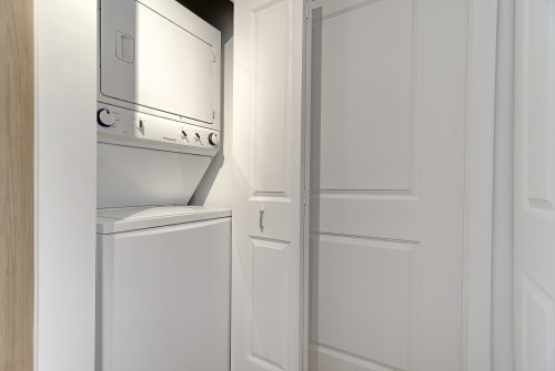 Salle de lavage - 208-1248 Av. De L'Hôtel-De-Ville, Montréal (Ville-Marie), QC - Indoor Photo Showing Laundry Room