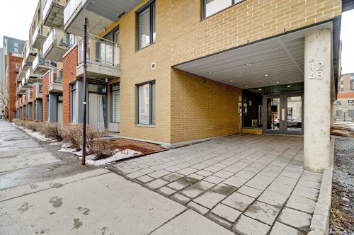Extérieur - 208-1248 Av. De L'Hôtel-De-Ville, Montréal (Ville-Marie), QC - Outdoor