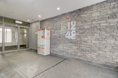 Hall d'entrée/Vestibule - 208-1248 Av. De L'Hôtel-De-Ville, Montréal (Ville-Marie), QC - Indoor