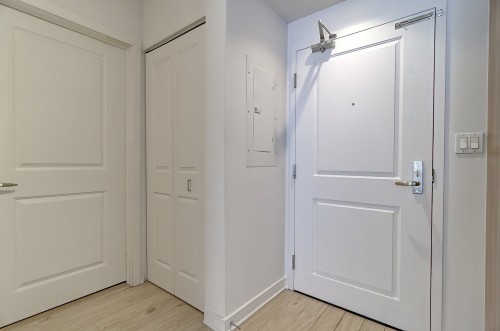 Hall d'entrée/Vestibule - 208-1248 Av. De L'Hôtel-De-Ville, Montréal (Ville-Marie), QC - Indoor Photo Showing Other Room