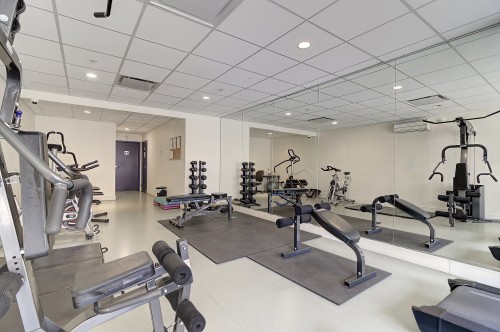 Salle d'exercice - 208-1248 Av. De L'Hôtel-De-Ville, Montréal (Ville-Marie), QC - Indoor Photo Showing Gym Room