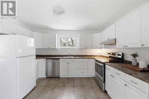 298 Hampton Rd, Sault Ste. Marie, ON - Indoor Photo Showing Kitchen With Double Sink