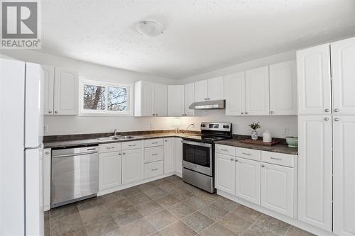 298 Hampton Rd, Sault Ste. Marie, ON - Indoor Photo Showing Kitchen With Double Sink