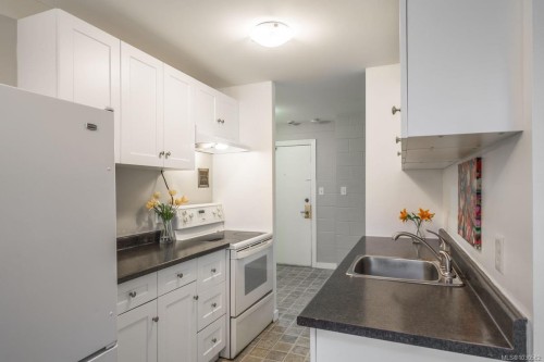 1102-1097 Bowen Rd, Nanaimo, BC - Indoor Photo Showing Kitchen