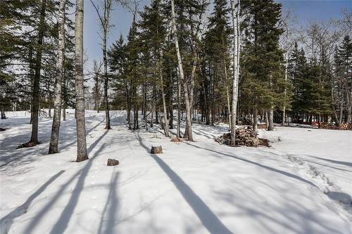 51 Burrows Rd, Pinawa, MB 