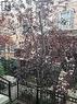 1014 - 5 Everson Drive, Toronto, ON  - Outdoor 