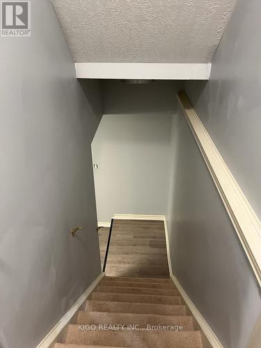 19 Sophia Crescent, Kitchener, ON 