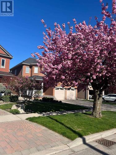1382 Avon Drive, Mississauga, ON - Outdoor