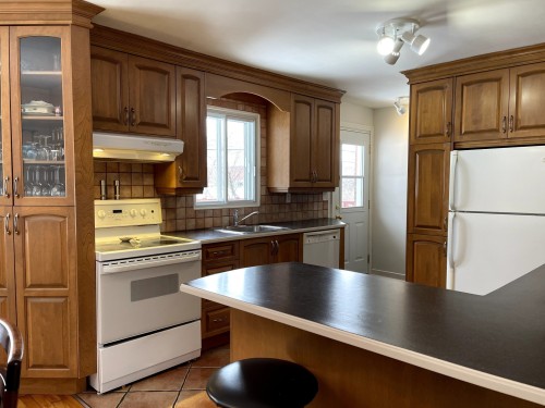Kitchen - 182 Av. Duke-Of-Kent, Pointe-Claire, QC - Indoor Photo Showing Kitchen With Double Sink