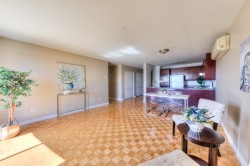 Salon - 