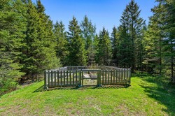 Garden - 