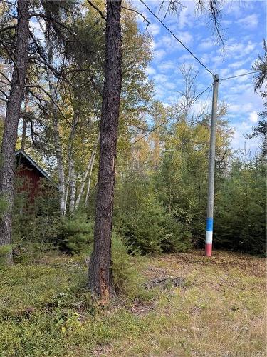 Camp L'Eglise Rd, Saint-Norbert, NB 