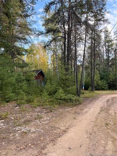 Camp L'Eglise Rd, Saint-Norbert, NB 
