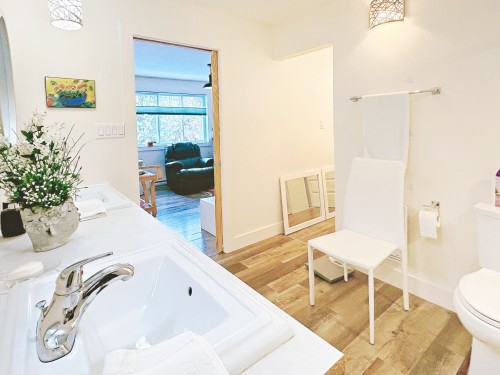 Master Bathroom - 58A Av. Du Havre-Des-Neiges, Saint-Sauveur, QC - Indoor Photo Showing Bathroom