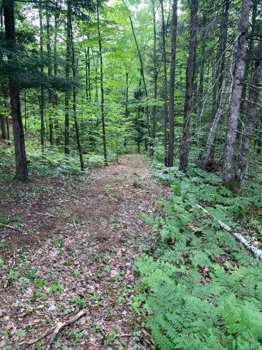 À proximité - Ch. Du Sommet, Bowman, QC 