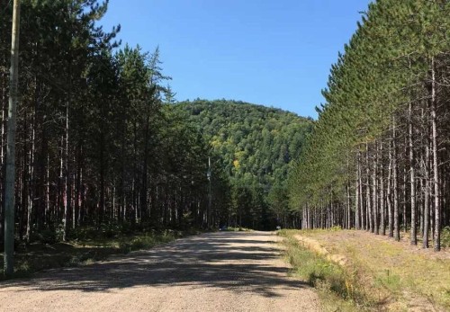 Vue d'ensemble - Ch. Du Sommet, Bowman, QC 