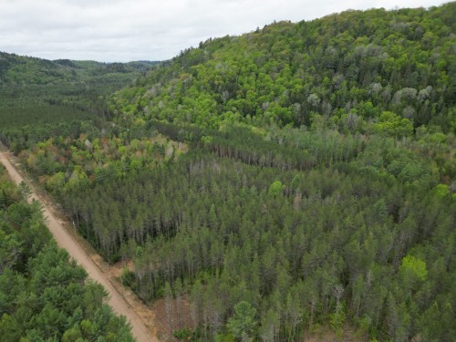 Vue d'ensemble - Ch. Du Sommet, Bowman, QC 