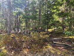 Lot Woods Road Bayswater, NS B0J 1T0