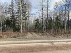 1485 W Tatamagouche Road West Tatamagouche, NS B0K 1V0