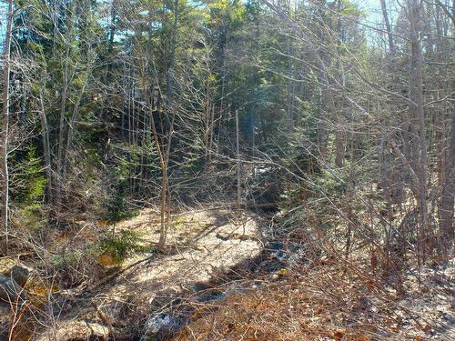 Maple Drive, New Minas, NS 