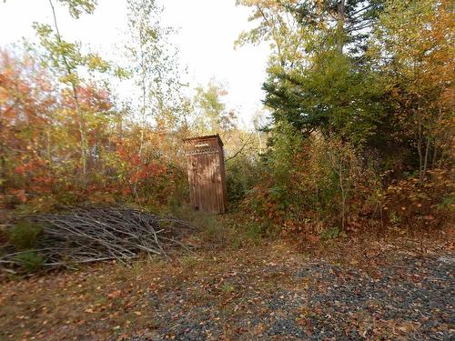 Highway 6, Waldegrave, NS 