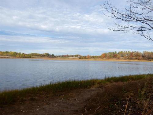 Highway 6, Waldegrave, NS 