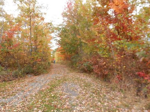 Highway 6, Waldegrave, NS 