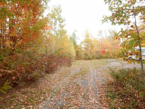Highway 6, Waldegrave, NS 
