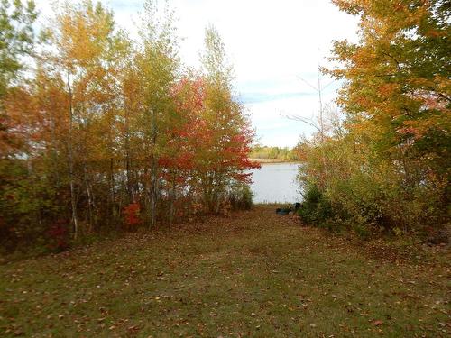 Highway 6, Waldegrave, NS 