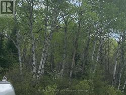 LOT 33 RUTHERGLEN LINE Bonfield, ON P0H 2E0