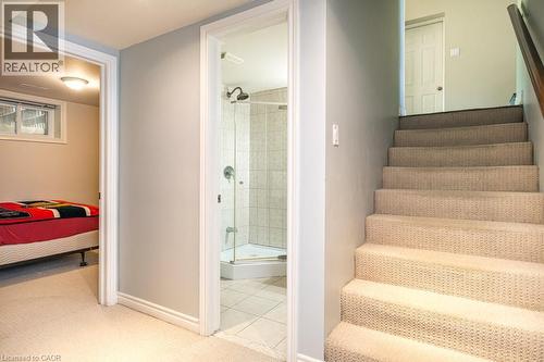 Staircase with baseboards and carpet flooring - 330 Strathcona Drive, Burlington, ON - Indoor Photo Showing Other Room