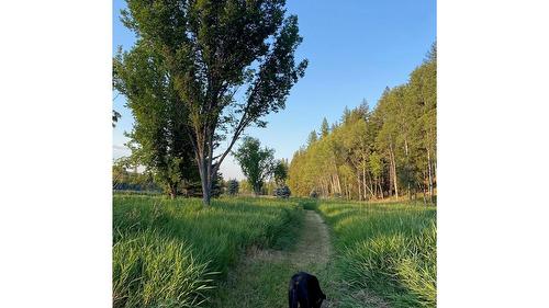 8529 Hwy 95A, Kimberley, BC - Outdoor With View