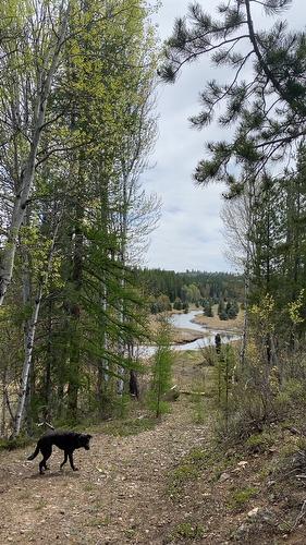 8529 Hwy 95A, Kimberley, BC - Outdoor With View