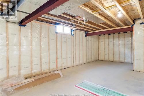 4438 Belmont, Comber, ON - Indoor Photo Showing Basement