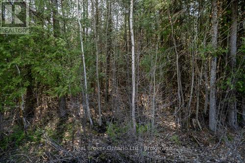 Lot 438 Champlain Road, Tiny, ON 