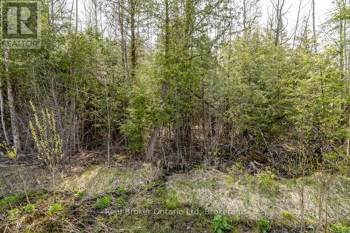 Lot 438 Champlain Road, Tiny, ON 