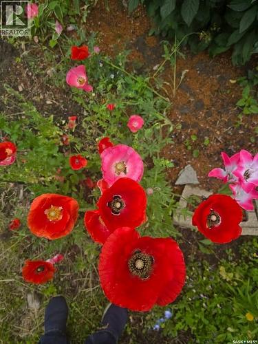 1011 Taylor Street E, Saskatoon, SK - Outdoor