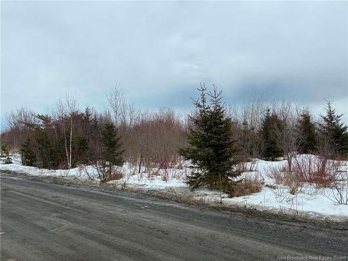 - Lizotte St, Rivière-Verte, NB 