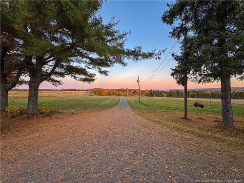 255 Lerwick Road, Tilley, NB 