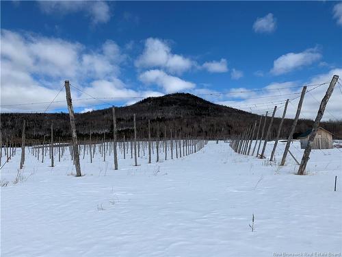 116 Maplehurst Rd, Maplehurst, NB 