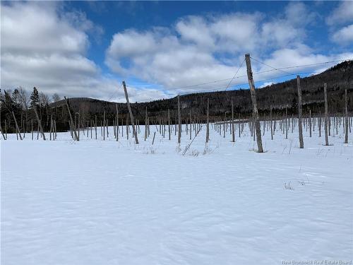 116 Maplehurst Rd, Maplehurst, NB 