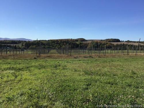 116 Maplehurst Rd, Maplehurst, NB 