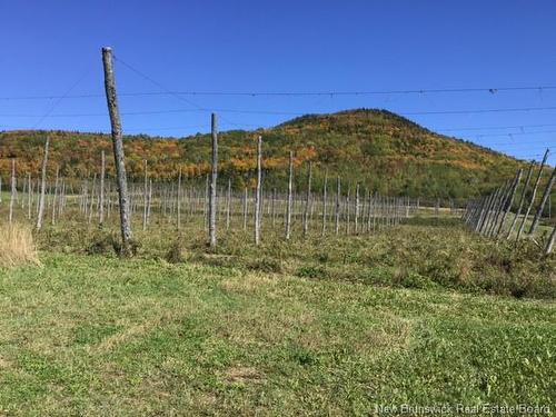 116 Maplehurst Rd, Maplehurst, NB 