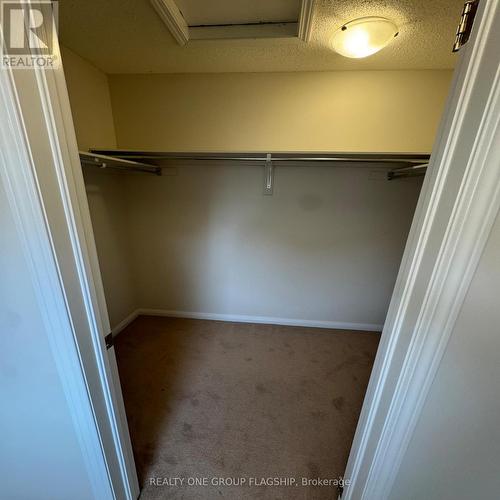 111 Higginbotham Crescent, Milton, ON - Indoor With Storage