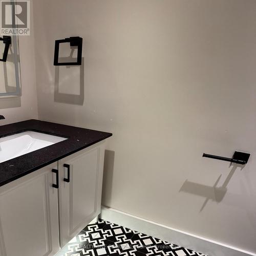 111 Higginbotham Crescent, Milton, ON - Indoor Photo Showing Bathroom