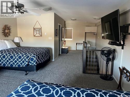 3 1250 Aaro Avenue, Elbow, SK - Indoor Photo Showing Bedroom