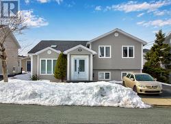 24 Cottonwood Crescent St. John's, NL A1H 1A1