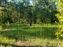 23 Stoney Road, Tiny, ON 